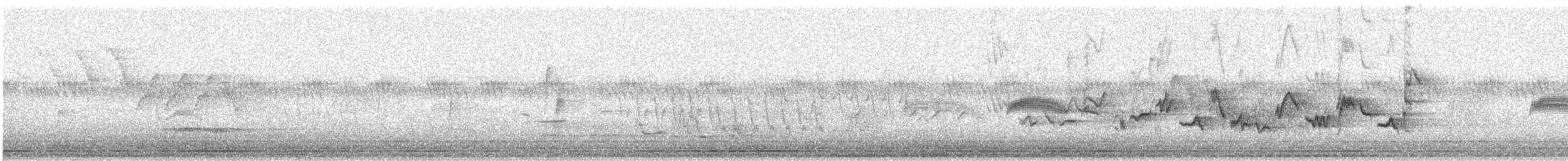 Viréo mélodieux - ML644354970