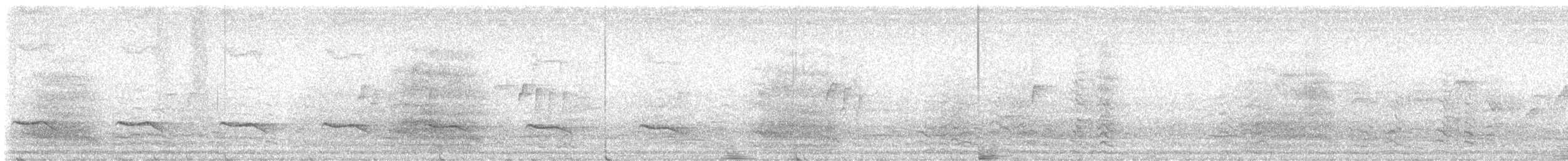 Cacatoès corella - ML644355038