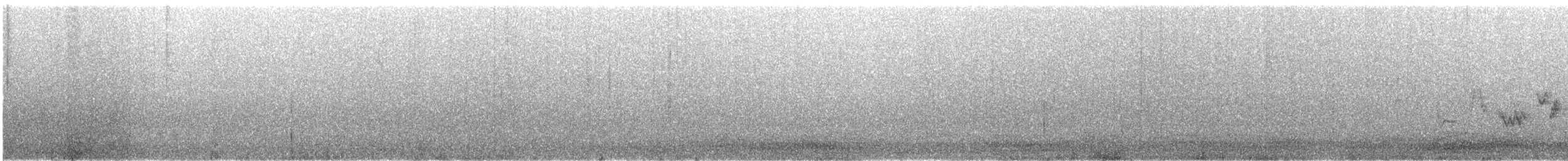 Western Warbling Vireo - ML644355143