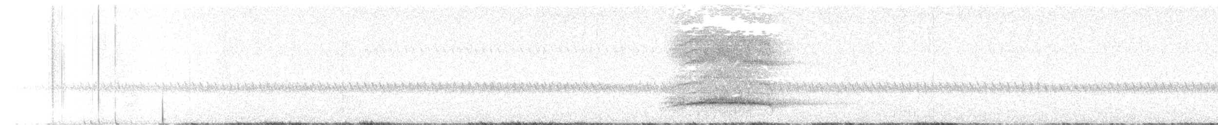 Eastern Barn Owl (Eastern) - ML644355285