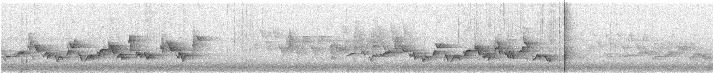 Eastern Warbling Vireo - ML644355298