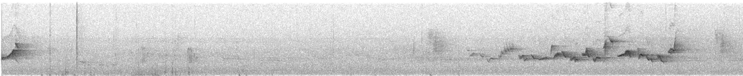 Eastern Warbling Vireo - ML644355299