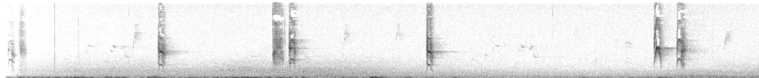 Noisy Scrub-bird - ML644355359