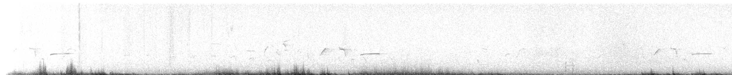 Western Bristlebird - ML644355394