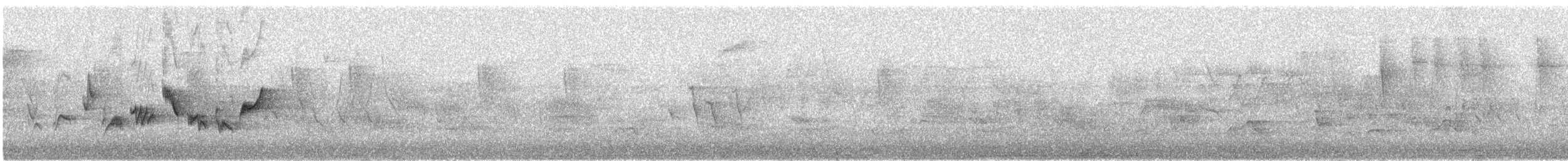 Western Warbling Vireo - ML644355559