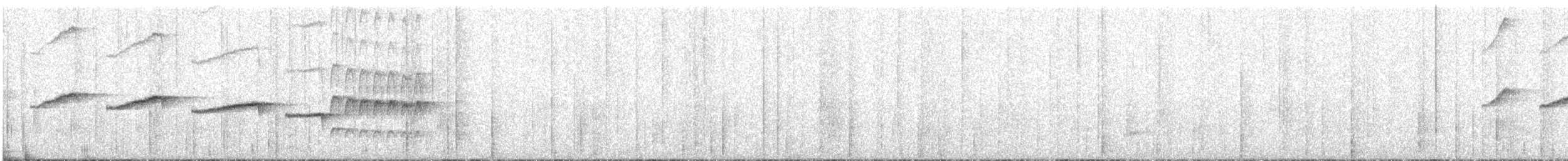 South American Leaftosser (Andean) - ML644355592