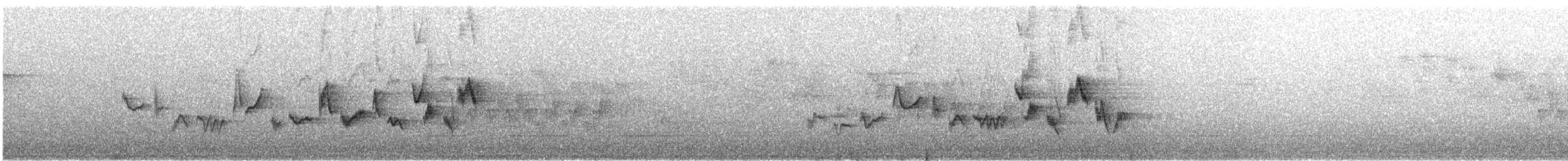 Western Warbling Vireo - ML644355736