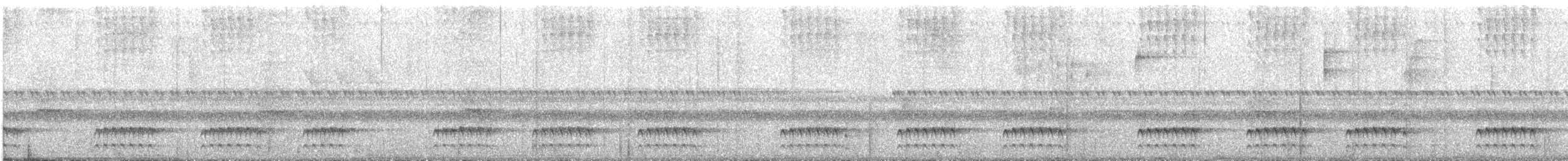 Tatama Tapaculo - ML644355837