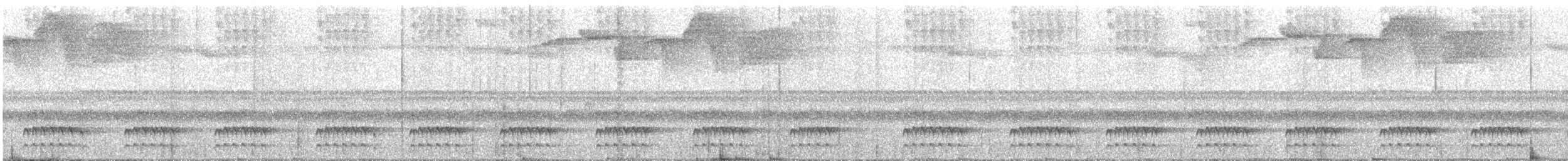 Tatama Tapaculo - ML644355838