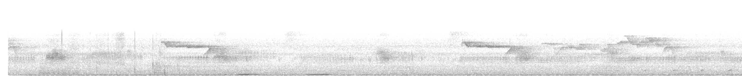 Mountain Imperial-Pigeon - ML644356082