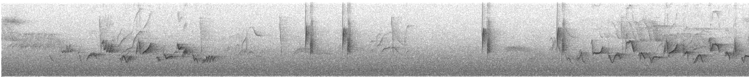 Western Warbling Vireo - ML644356233