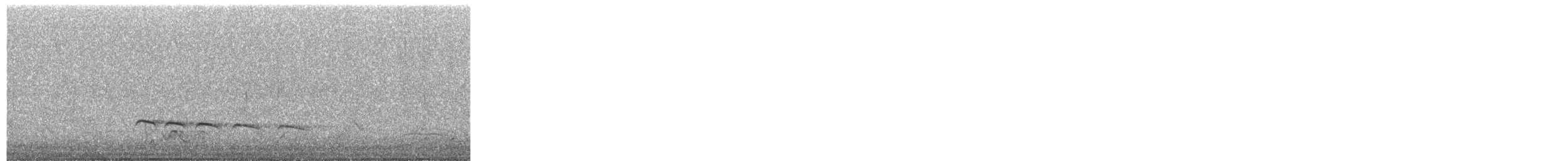 pygmégjøk - ML644356340