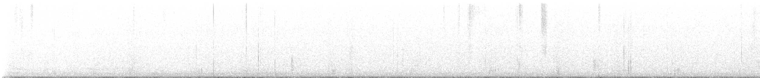 Quiscale bronzé - ML644357022