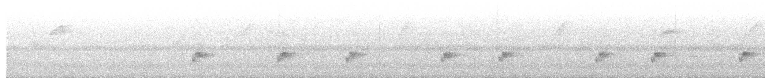 White-breasted Wood-Wren - ML644357543