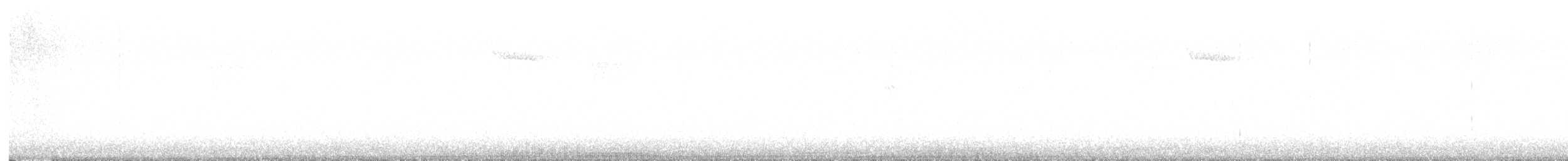 Plectrophane lapon - ML644358276