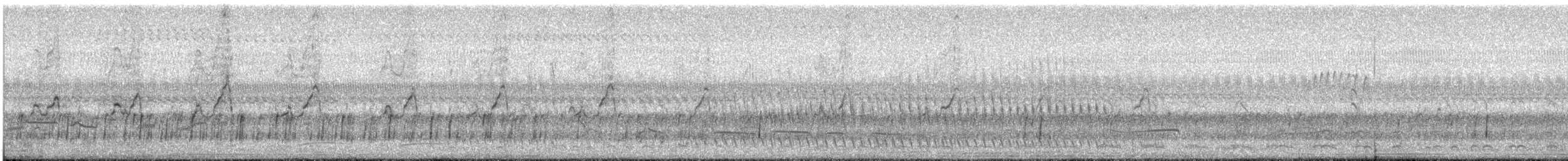 brasiland - ML644359020