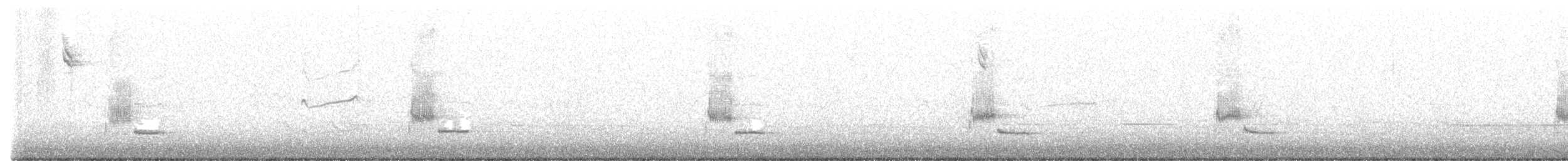 Amerika Örümcekkuşu - ML644359914