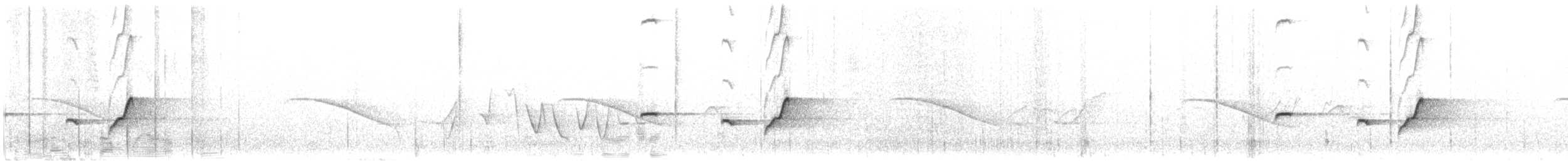 sørkrattskvett - ML644359966