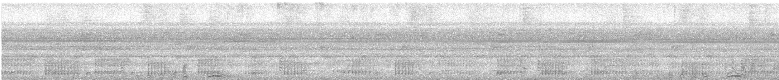 Cárabo Negro - ML644360313