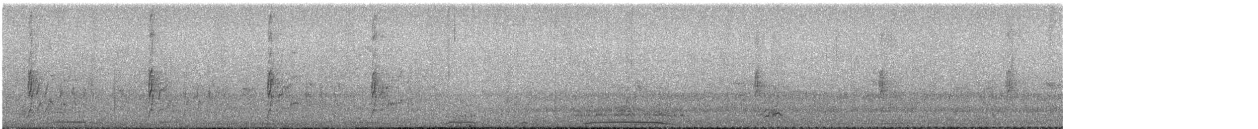 Picazuro Pigeon - ML644360466