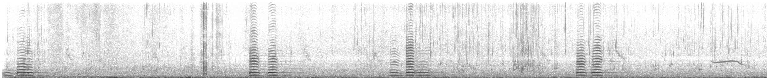 Trumpeter Swan - ML644360558