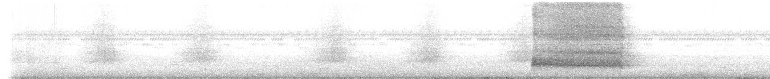 American Barn Owl - ML644360867