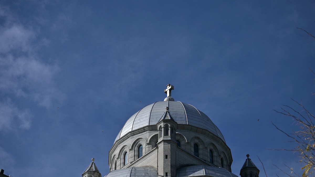 Харагчин хараацай - ML644360930