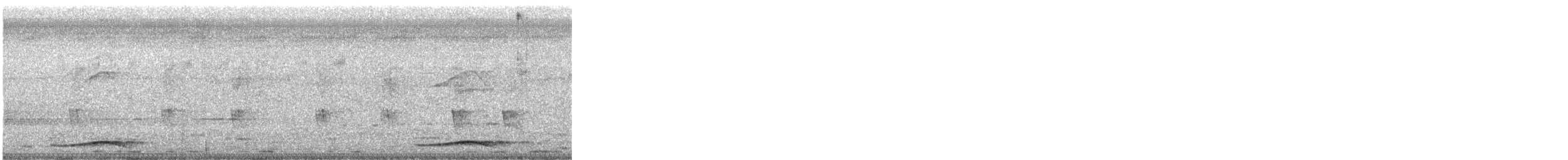 Asian Koel - ML644361362