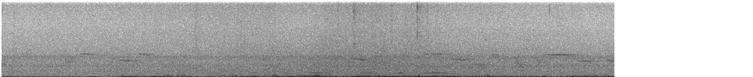 Picazuro Pigeon - ML644361476