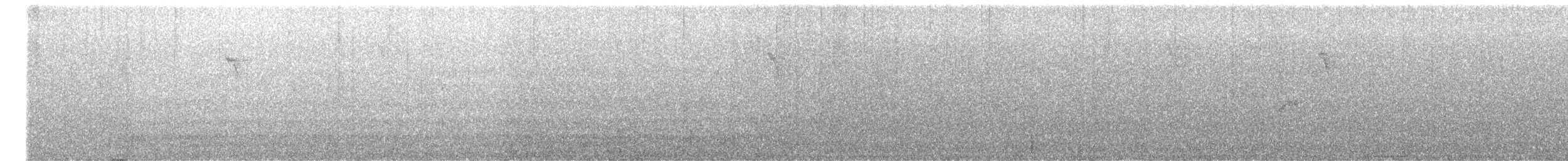 White-throated Quail-Dove - ML644361981