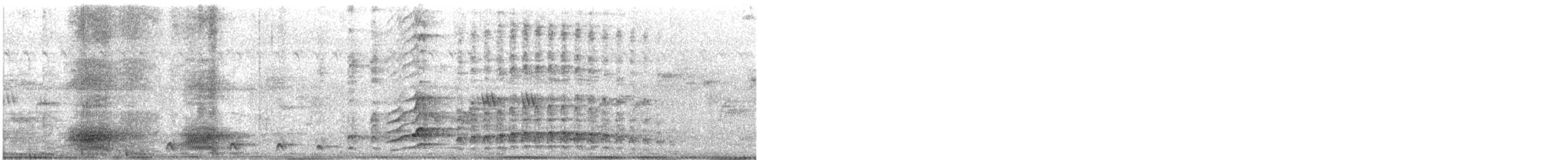 Malabar Gray Hornbill - ML644361993