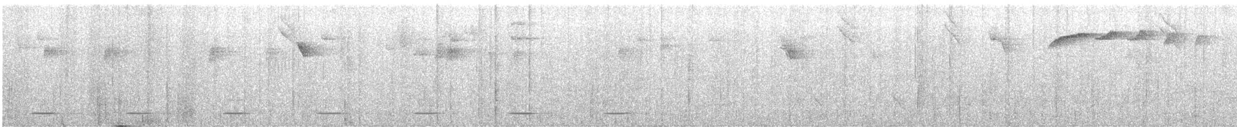 Band-tailed Fruiteater - ML644362053