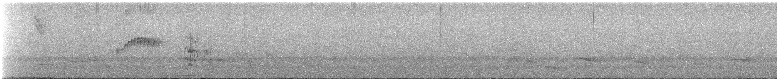 Tropical Kingbird - ML644362424