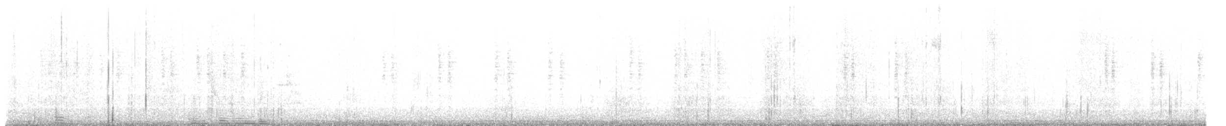 מלכילון אמריקני - ML644362641