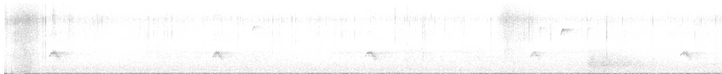 Mokolodi bekainoria - ML644363327