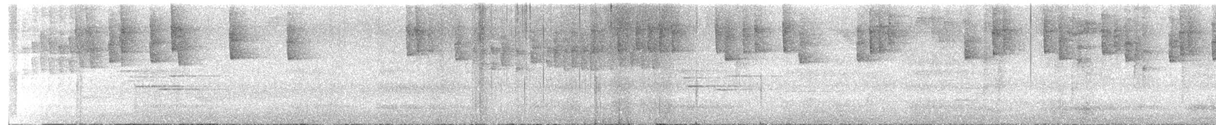 Troglodyte à sourcils roux - ML644363556