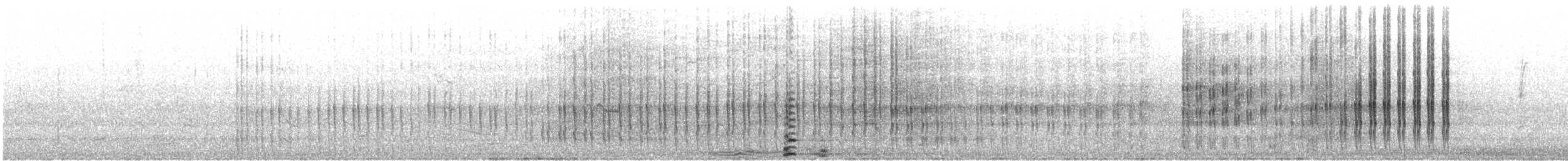 Belted Kingfisher - ML644363774