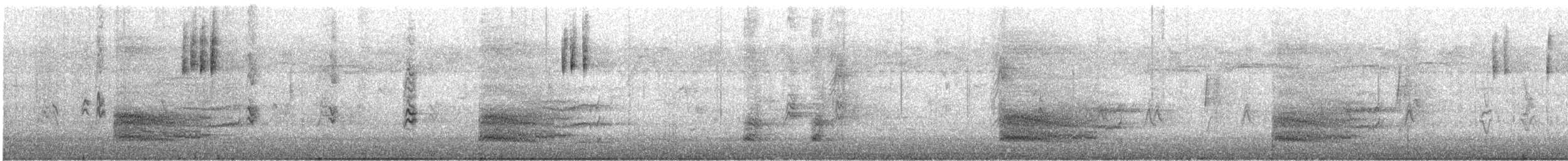 House Finch - ML644363940