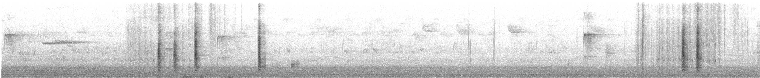 Red-bellied Woodpecker - ML644363942