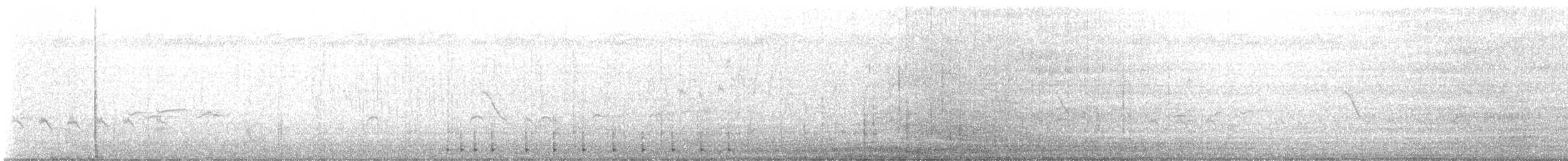 datel vousatý - ML644364004