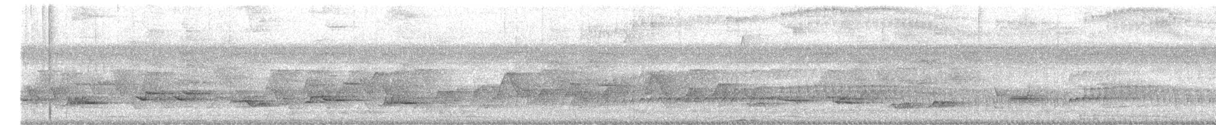 Hauxwell's Thrush - ML644364350