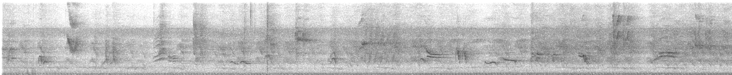 Hauxwell's Thrush - ML644364416