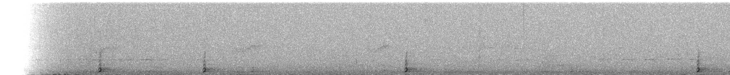 Crested Coua - ML644364516