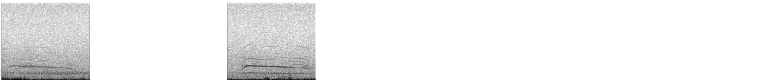 Long-legged Buzzard - ML644364525