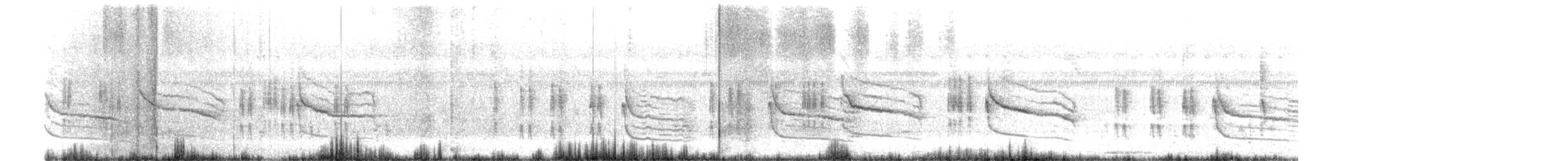 Yellow-eyed Babbler - ML644364651