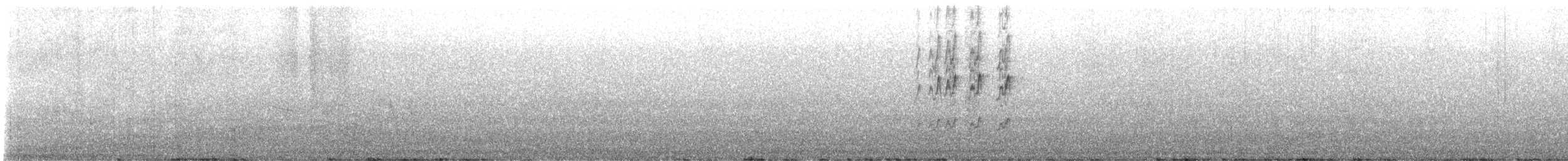 Peruvian Pygmy-Owl - ML644365317