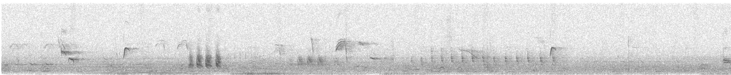 Long-tailed Mockingbird - ML644365489