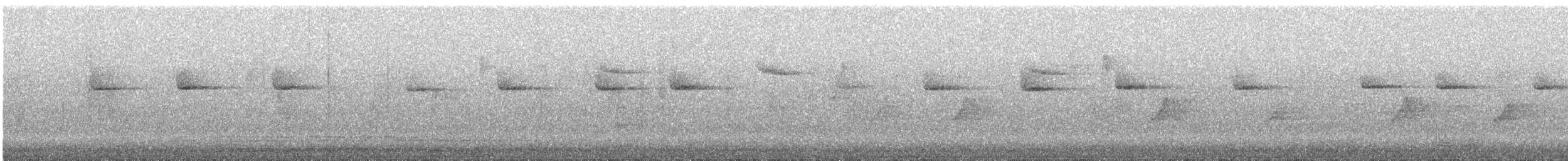 Grimpereau des jardins - ML644365960