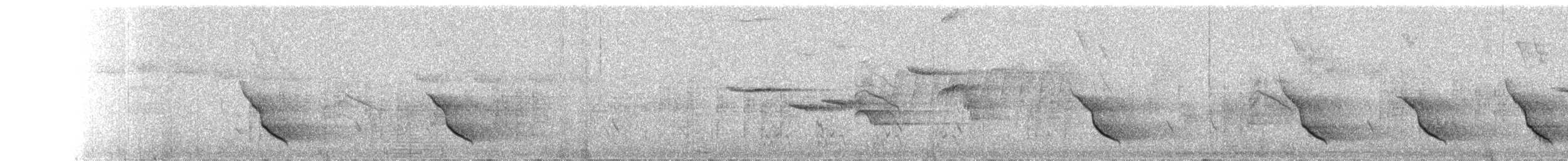 Van Dam's Vanga - ML644365999