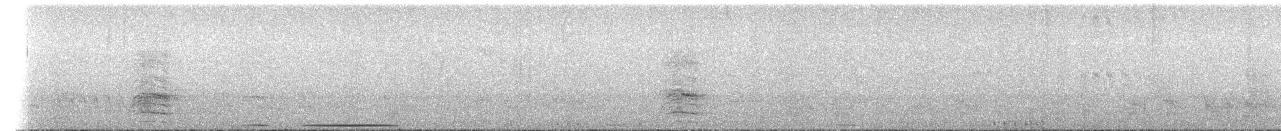 White-tipped Dove - ML644366223